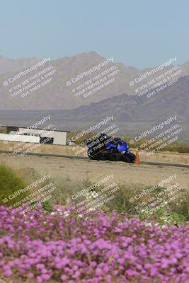 media/Feb-04-2023-SoCal Trackdays (Sat) [[8a776bf2c3]]/Turn 15 Inside Blooming (1050am)/